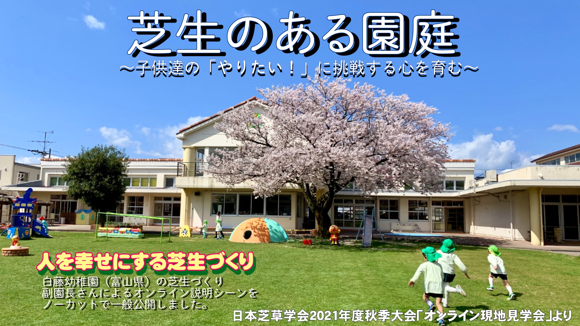 20230315 日本芝草学会トップページ　白藤幼稚園画像.jpg